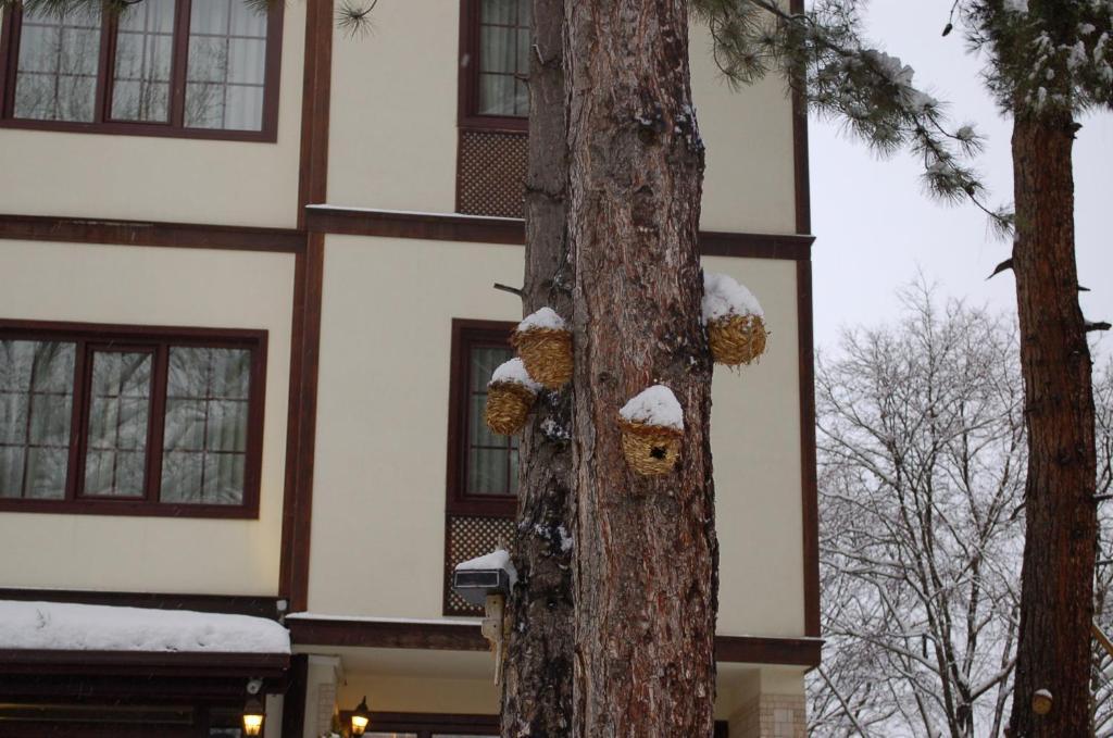 Diamond Park Hotel Safranbolu Eksteriør bilde